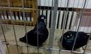 IMG_20160115_213053
