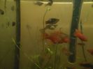 IMG_20160125_193828