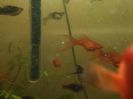 IMG_20160125_193835