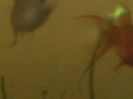 IMG_20160125_193858