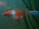 IMG_20160125_193958