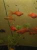 IMG_20160130_193113