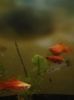 IMG_20160130_193118