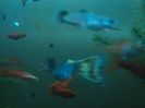 IMG_20160130_193248
