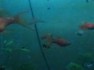 IMG_20160130_193301
