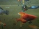 IMG_20160130_193342