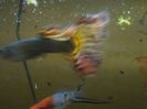 IMG_20160130_193350