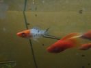 IMG_20160130_193353