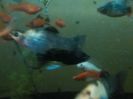 IMG_20160130_193403