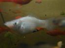 IMG_20160130_193421
