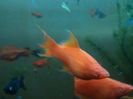 IMG_20160130_193426