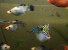 IMG_20160130_193430