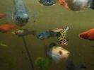 IMG_20160130_193434