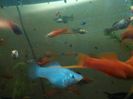 IMG_20160130_193453