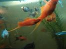 IMG_20160130_193455
