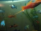 IMG_20160130_193456