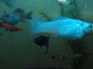 IMG_20160130_193532