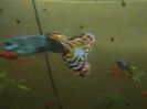IMG_20160130_193612