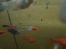 IMG_20160130_193625