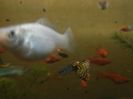 IMG_20160130_193639