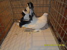 SAM_4034