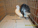 SAM_4037