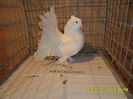 SAM_4058