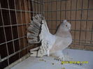 SAM_4147