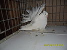 SAM_4195