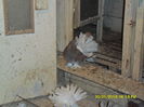 SAM_4289