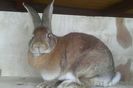 IMG_20160131_114252