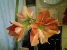 20160131_095024