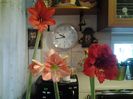 20160131_094935