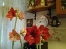 20160131_094923
