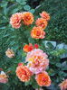 DSC08517