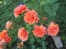 DSC08582
