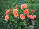DSC08669