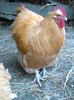 IMG_20160131_114751