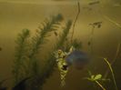 IMG_20160131_191238