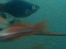 IMG_20160131_191431