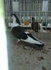 IMG_20160130_114442