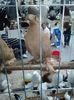 IMG_20160130_131748