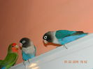 DSCN0007