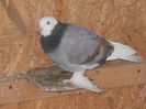 DSCN0869