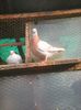 Photo0084