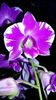 20160112_163245