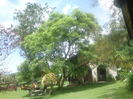 DSC02251