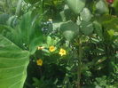 DSC02256