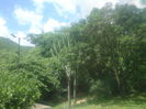 DSC02263