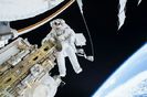 Astronaut Tim Kopra SSI